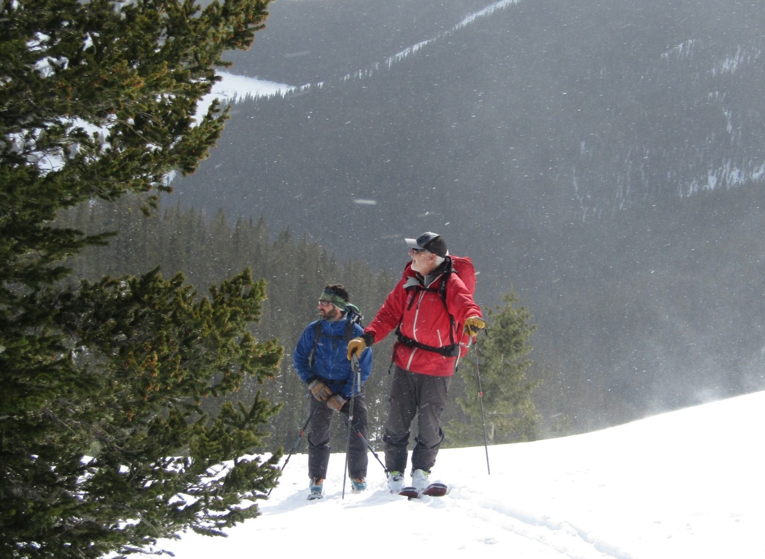 Two skiers in the backcountry skinning