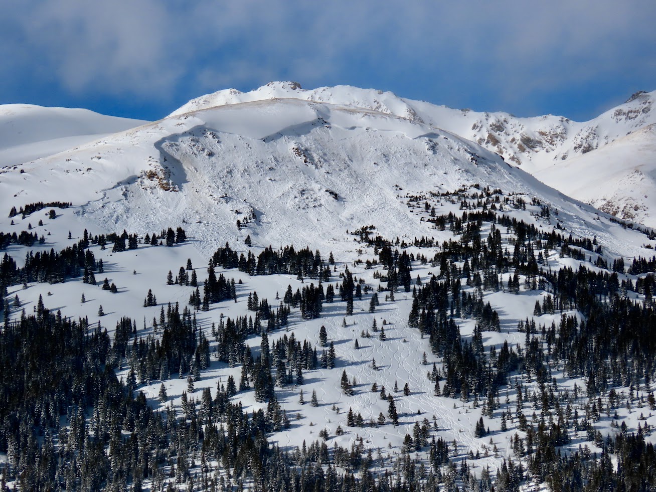 Very large avalanche on the face of a mountain with trees lower down on the slope. 