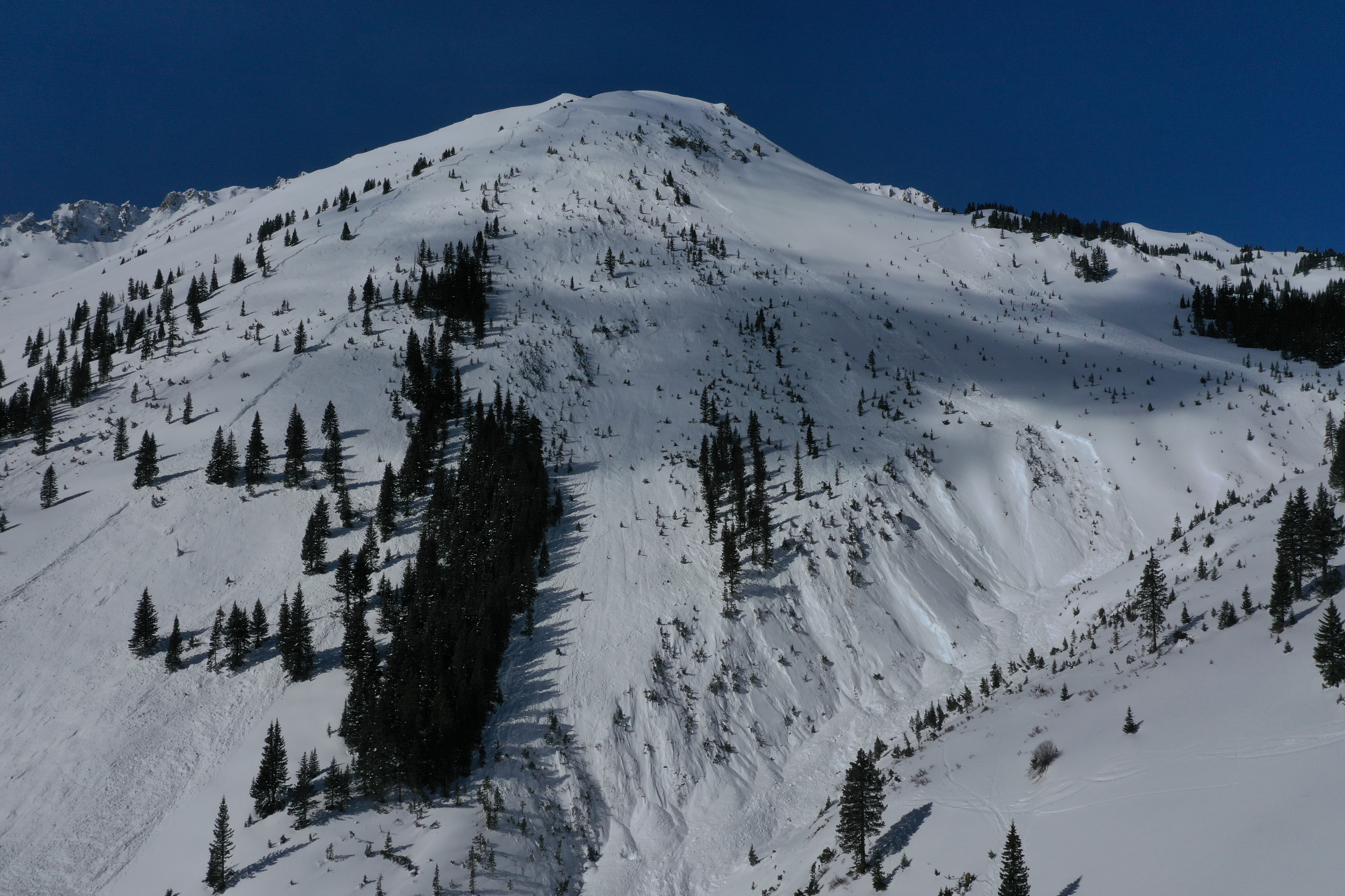 Large avalanche on sparsley treed slope with debris filling the gully below. 