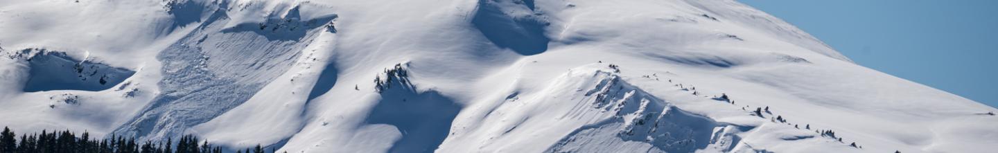 Liam's pic of avalanches