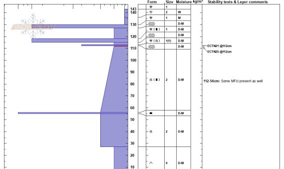 Image of a snow profile for the obs landing page