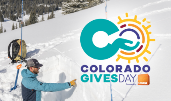 Colorado Gives Day infographic