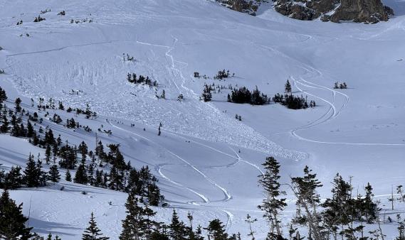 Large avalanche in the distance amidst tracks on a steep slope. 