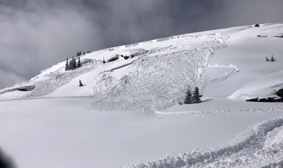 Evidence of a large avalanche on a wind-drifted slope on a stormy day. 