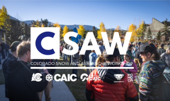 Image of people outside talking at CSAW with those words over the image and the CAIC and Friends' logos