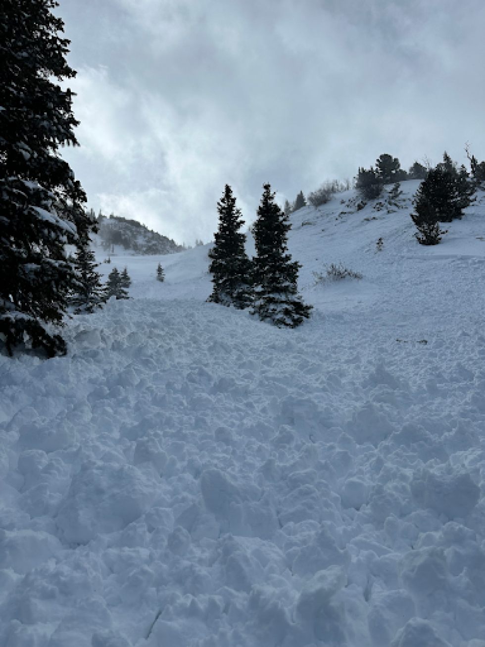 Photo of a skier-triggered avalanche on January 13 near Lost Lake behind Eldora. This avalanche partially buried a skier to the waist.  