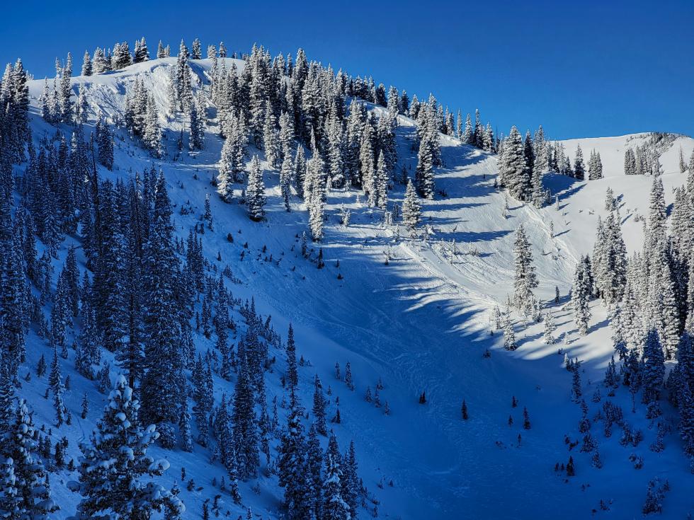 A snowy avalanche near Marble that caught four backcountry skiers, partially burying three of them without causing injuries. The image shows a ridgeline on the far left where the group gathered before descending through sparse trees. T