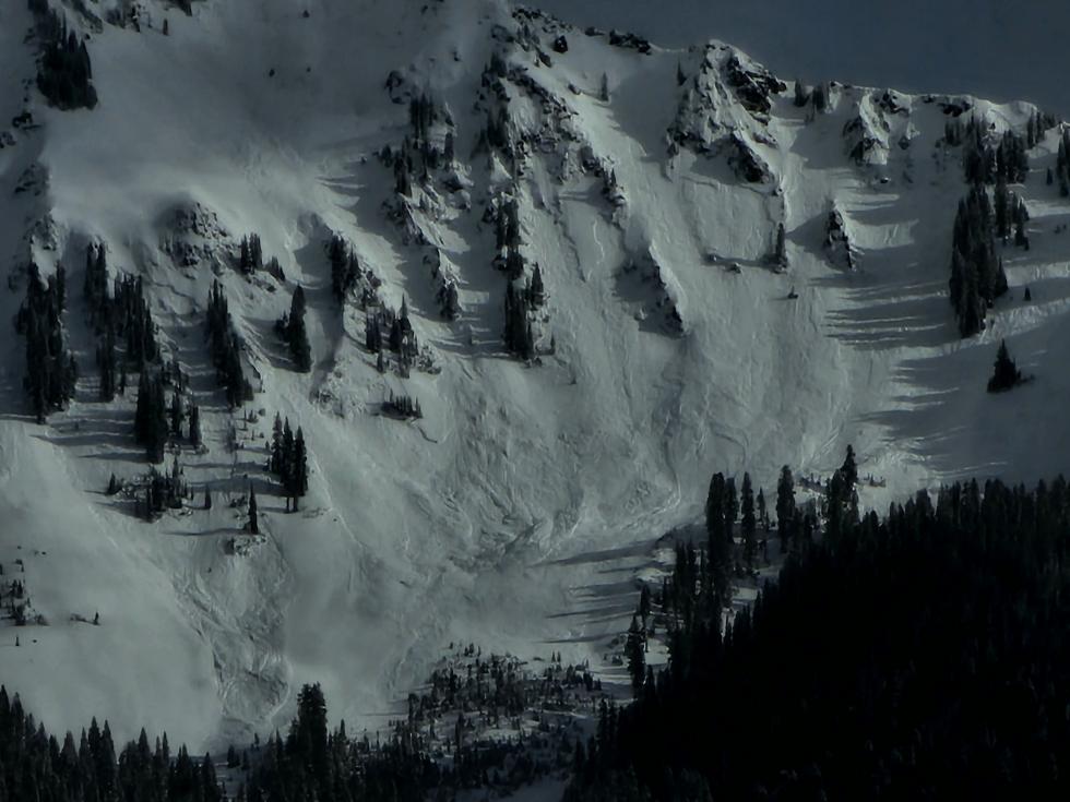 Looking at many avalanches on a large slope. 