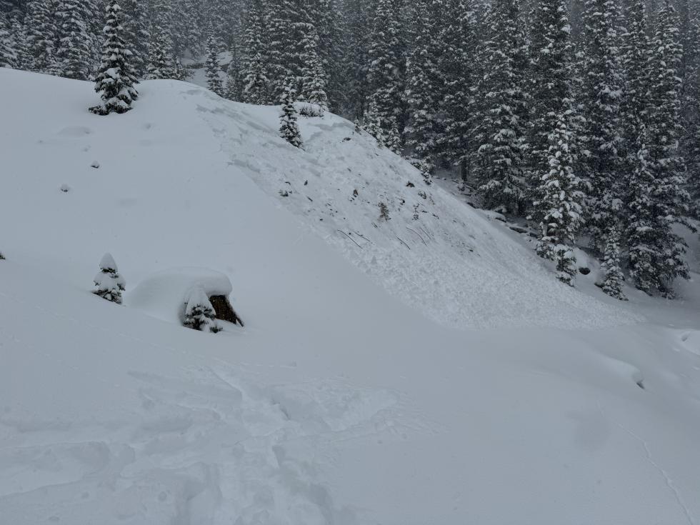 Looking a small avalanche on a slope in fresh snow.