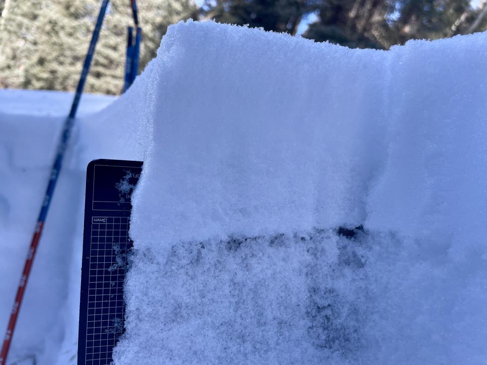 A close-up look at the wall of a snowpit with a measuring card behind fragile snow