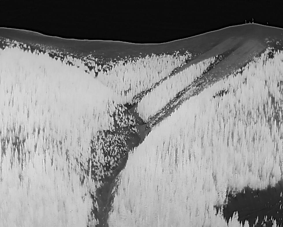 Infrared image showing two large avalanches on a slope in between forest.