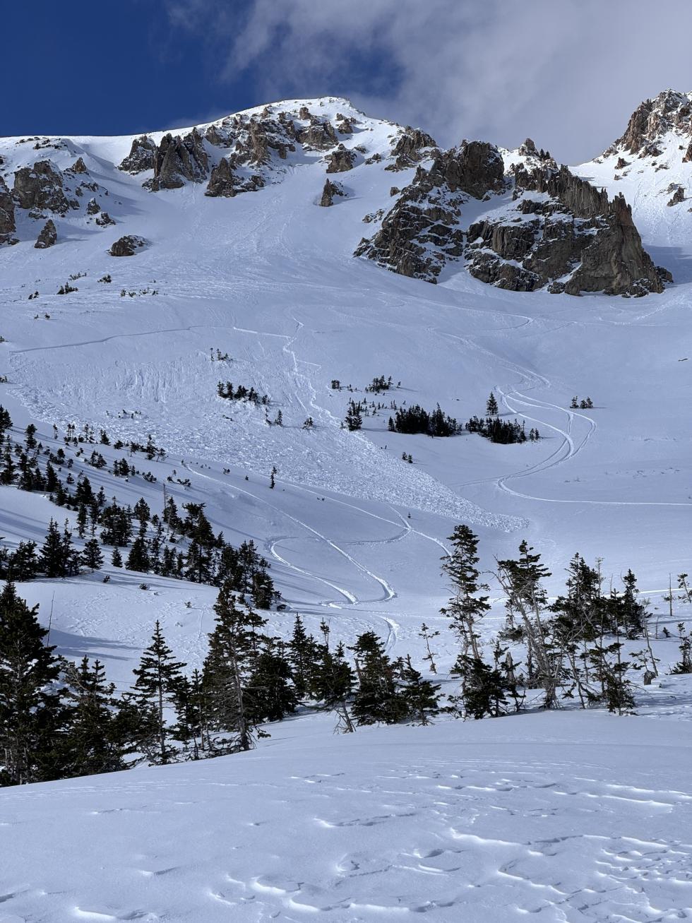 Large avalanche in the distance amidst tracks on a steep slope. 