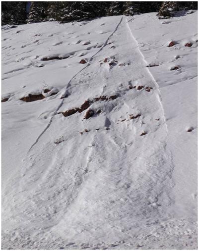 Loose Dry avalanche with the characteristic point initiation and fan shape.